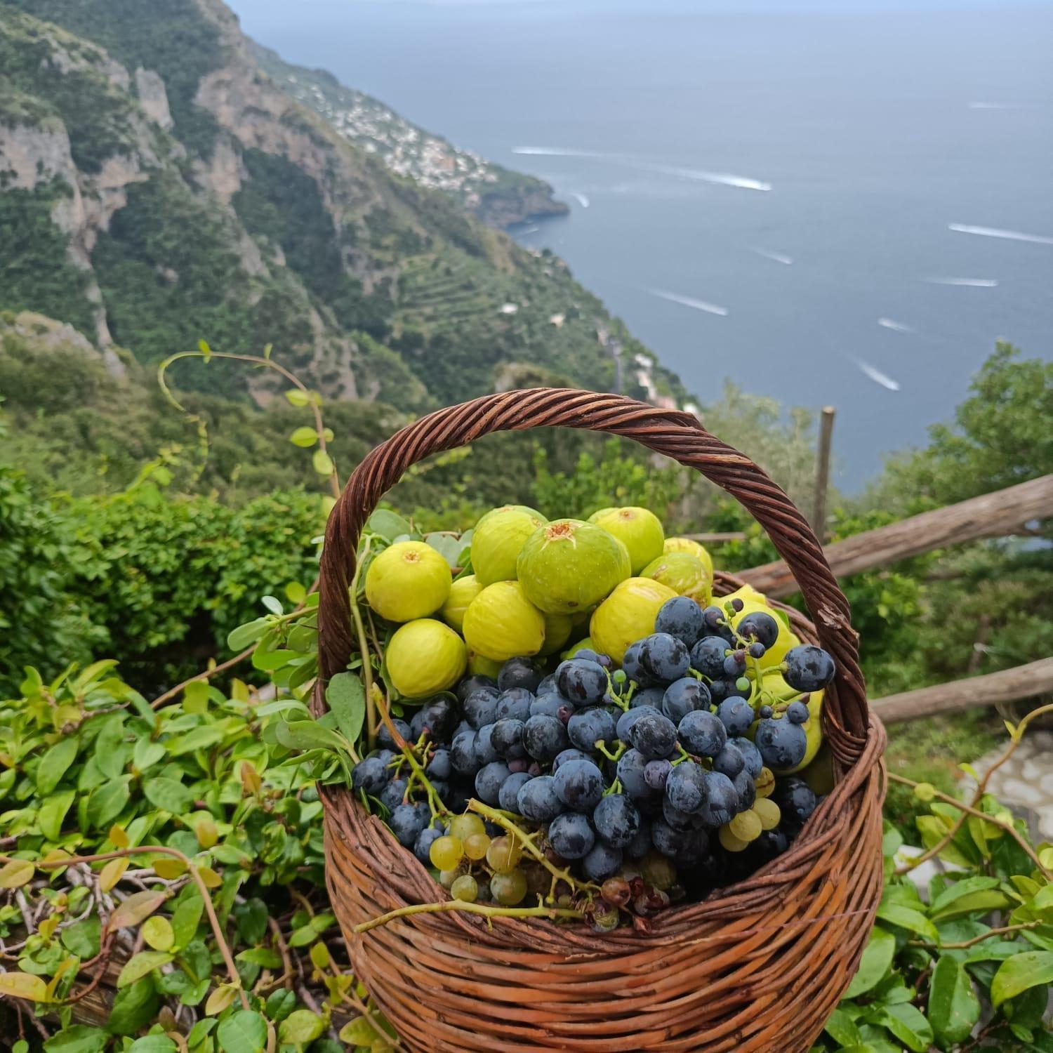 Villa Antica Macina Positano Buitenkant foto