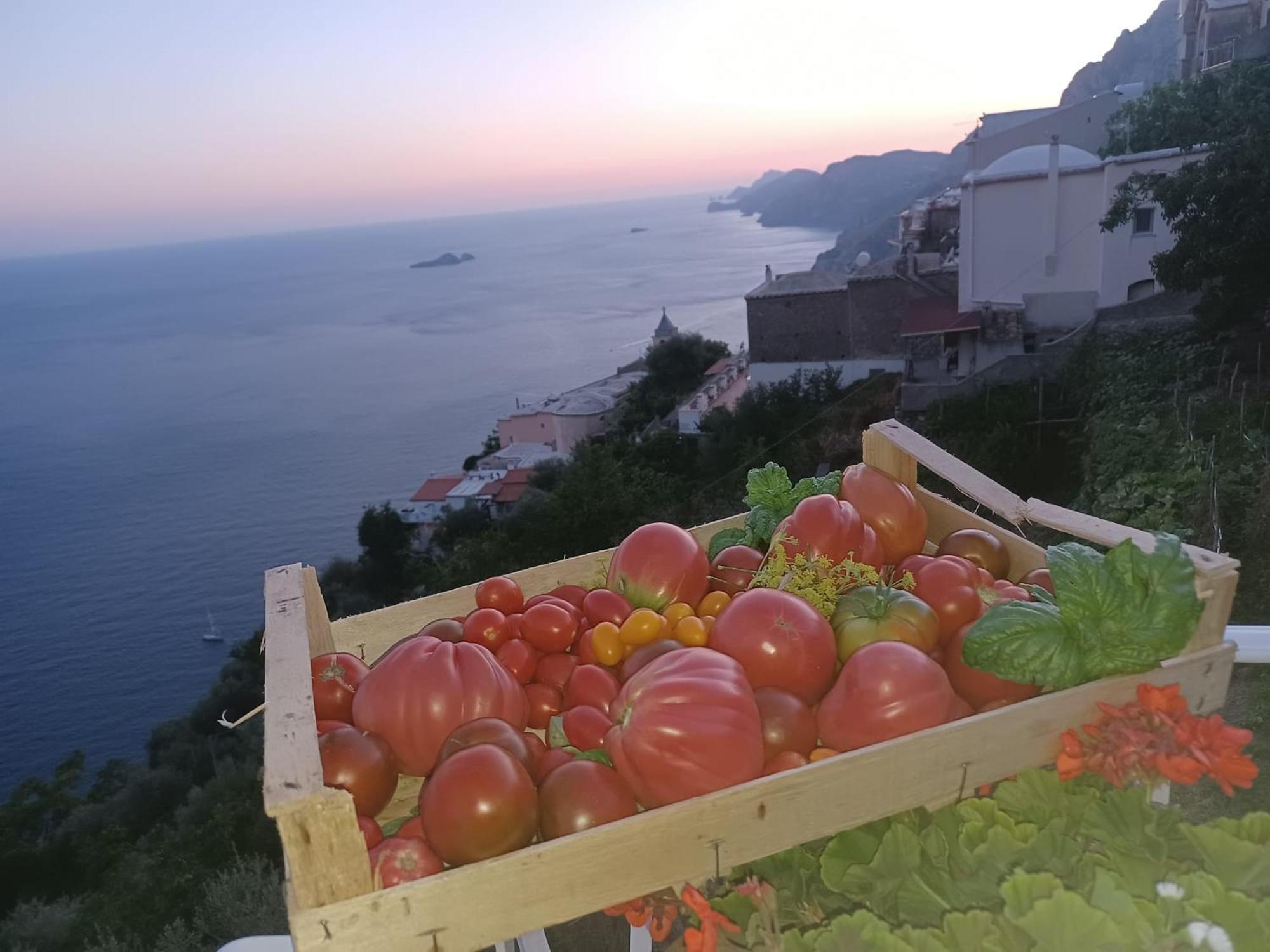 Villa Antica Macina Positano Buitenkant foto