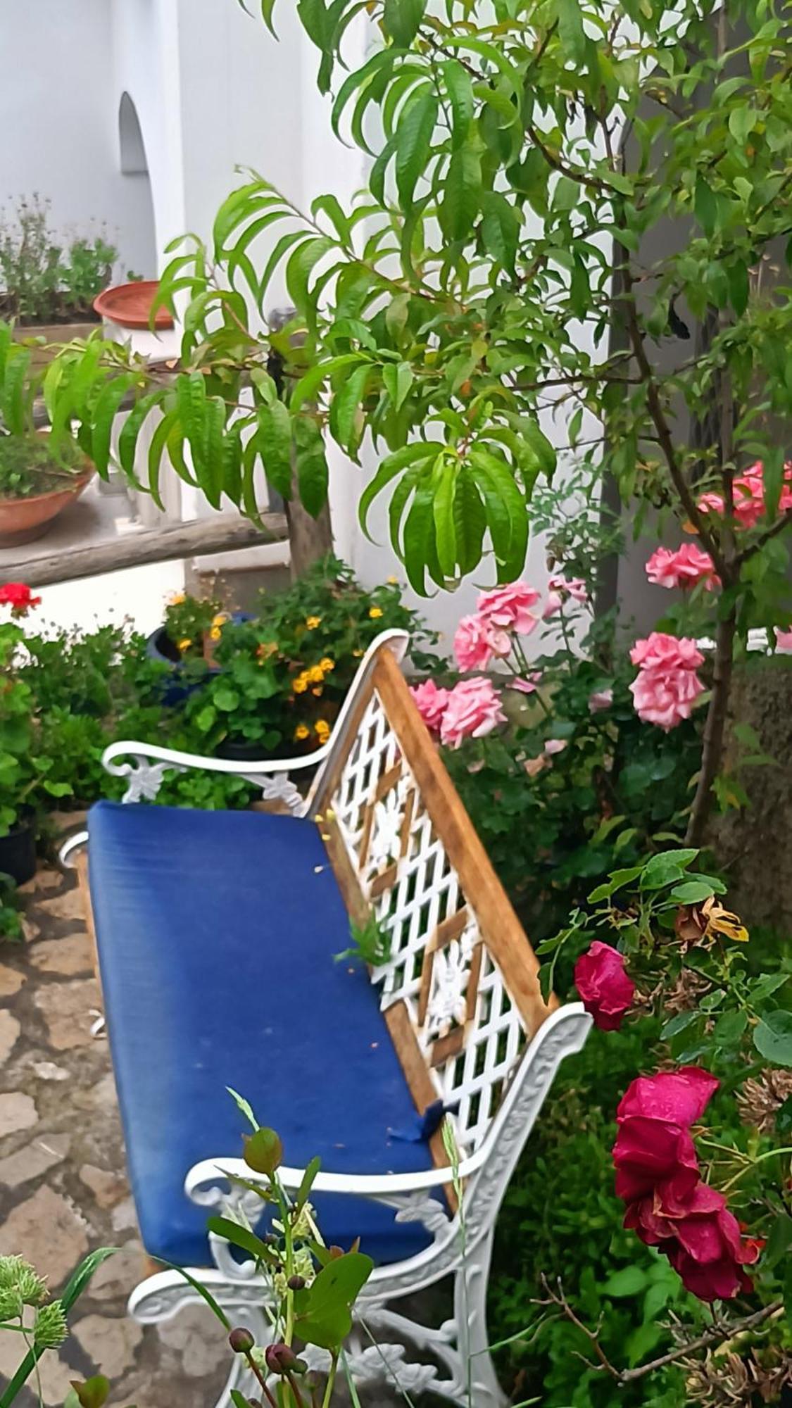 Villa Antica Macina Positano Buitenkant foto