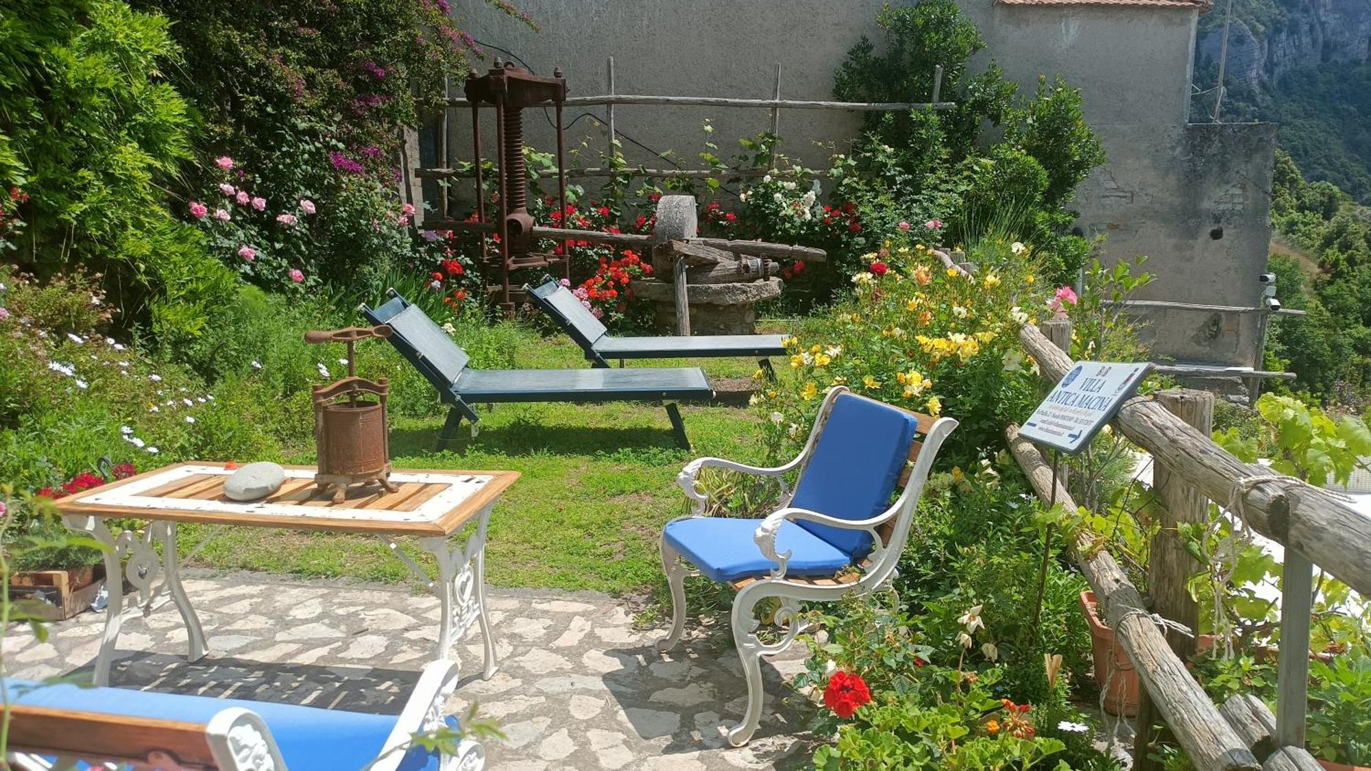 Villa Antica Macina Positano Buitenkant foto