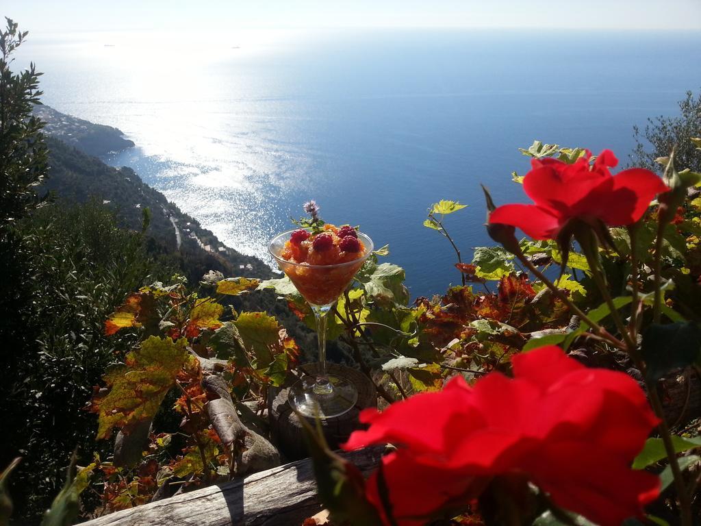 Villa Antica Macina Positano Buitenkant foto